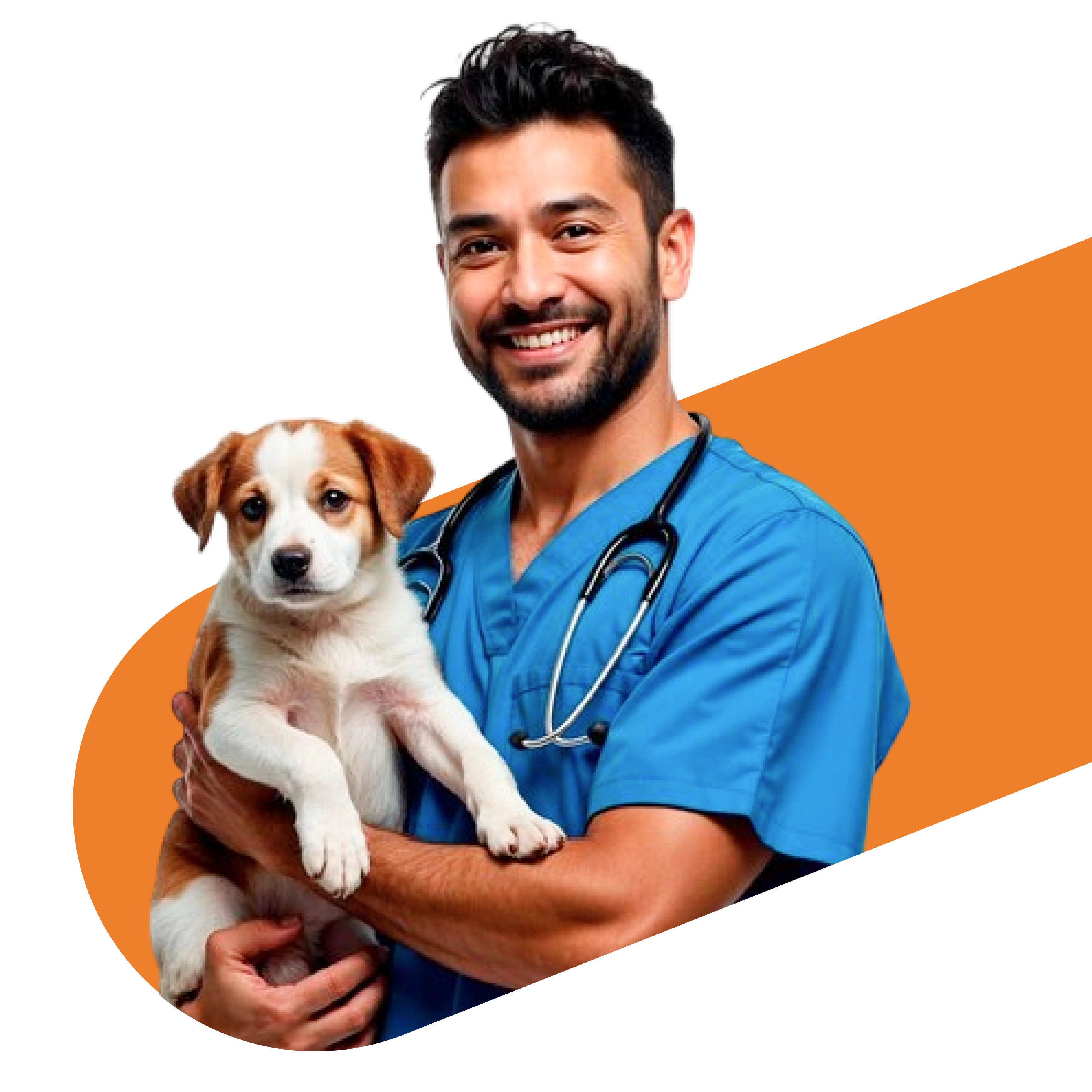 Vet with dog